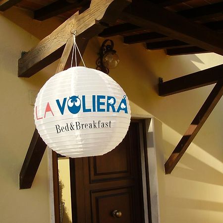 La Voliera Bed & Breakfast Πίζα Εξωτερικό φωτογραφία